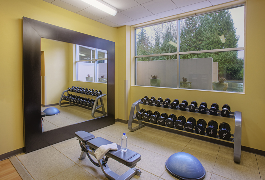 Gym Mirror Replacement