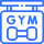 Gym Mirror